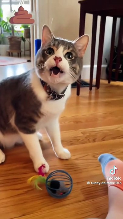 Die Füße stinken zum Umfallen