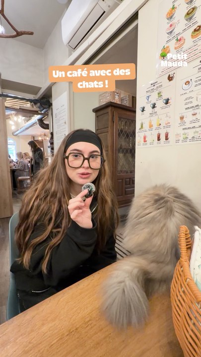 Un café + des chats = le combo parfait 🐾☕️©️ Crédit : @petitmauda🎁 Tous nos bons plans à retrouver en bio ! ❤️‍🔥👉🏻 Abonne-toi au Petit Mauda pour plus d’inspiration ! 🌳
