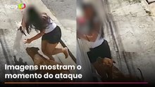 Cachorro da raça pitbull ataca cão na coleira e assusta tutora em São Paulo