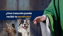 ¿Una mascota puede recibir la bendición?