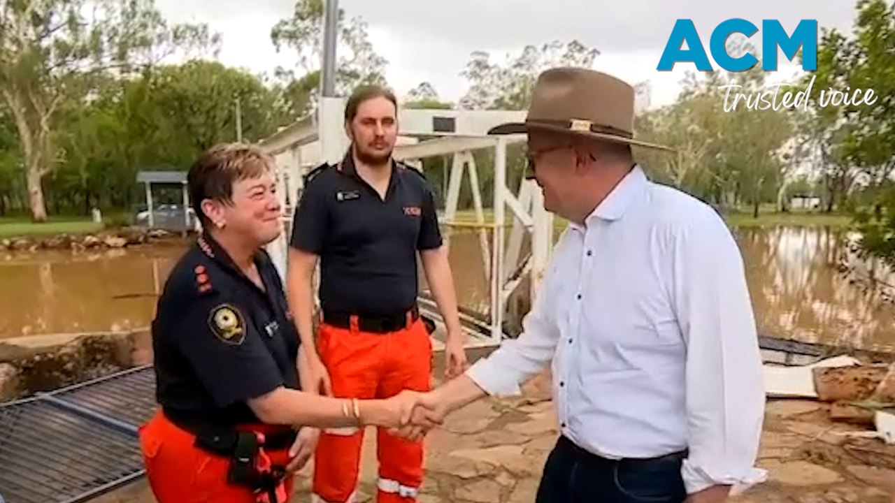 Albanese pledges support for flooded graziers