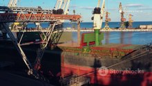 Vídeo - Brasil bate recorde nas exportações de carne suína em 2025