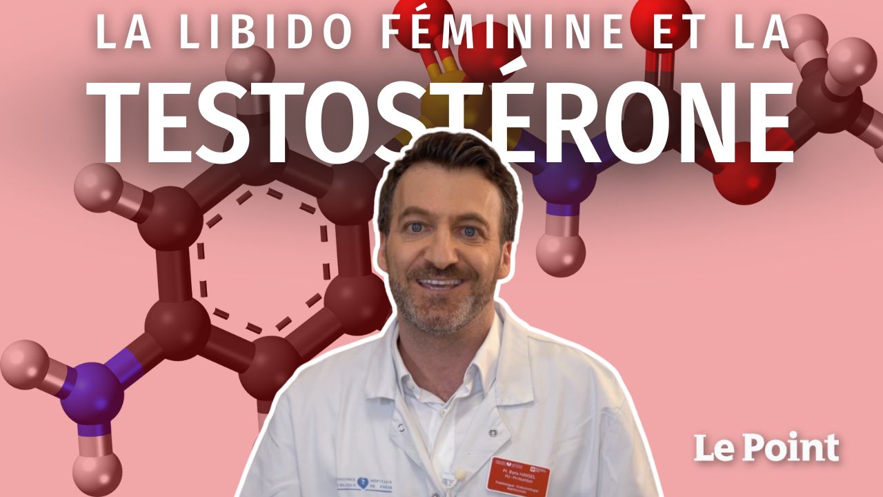 Boris Hansel_Testostérone V2
