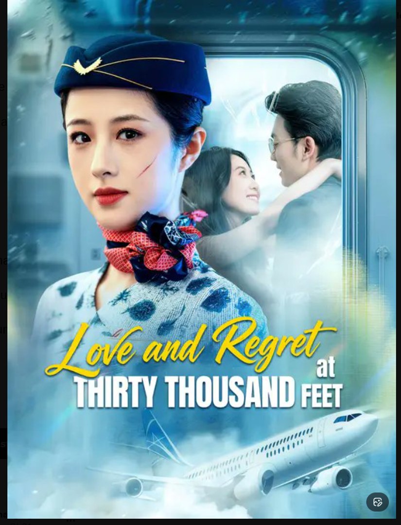 Love and Regret at Thirty Thousand Feet Drama Movies English Sub