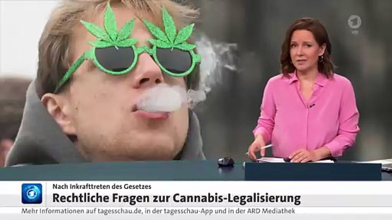 Rechtliche Fragen zur Cannabis Legalisierung   Cannabis Social Club  TV-20240402-1453-4100.webl.h264