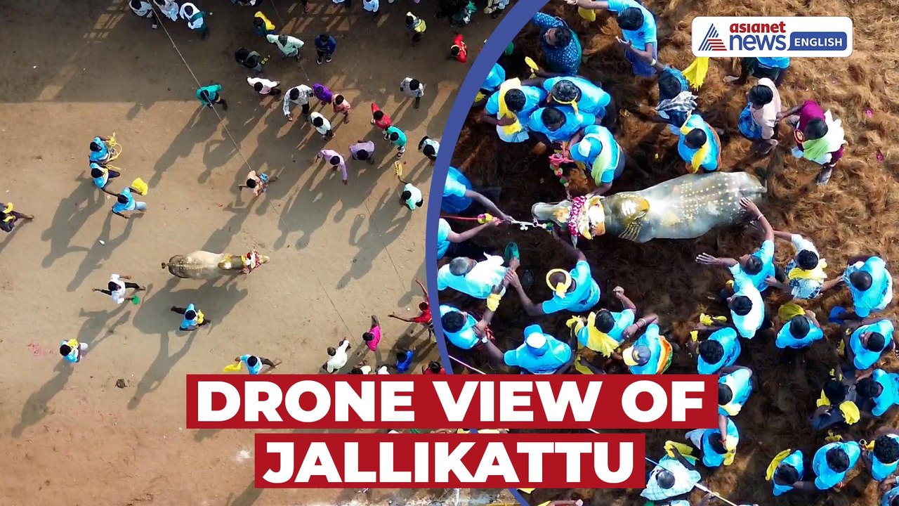 Palamedu Jallikattu 2026 Starts in Madurai | Stunning Drone Visuals