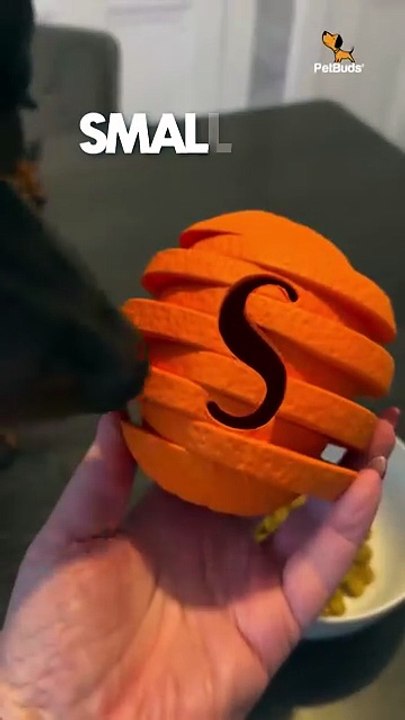 Dog Toys for Boredom – Tough Chew Toys for Energetic Dogs  PetBuds