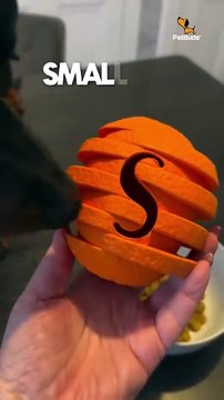 Dog Toys for Boredom – Tough Chew Toys for Energetic Dogs PetBuds