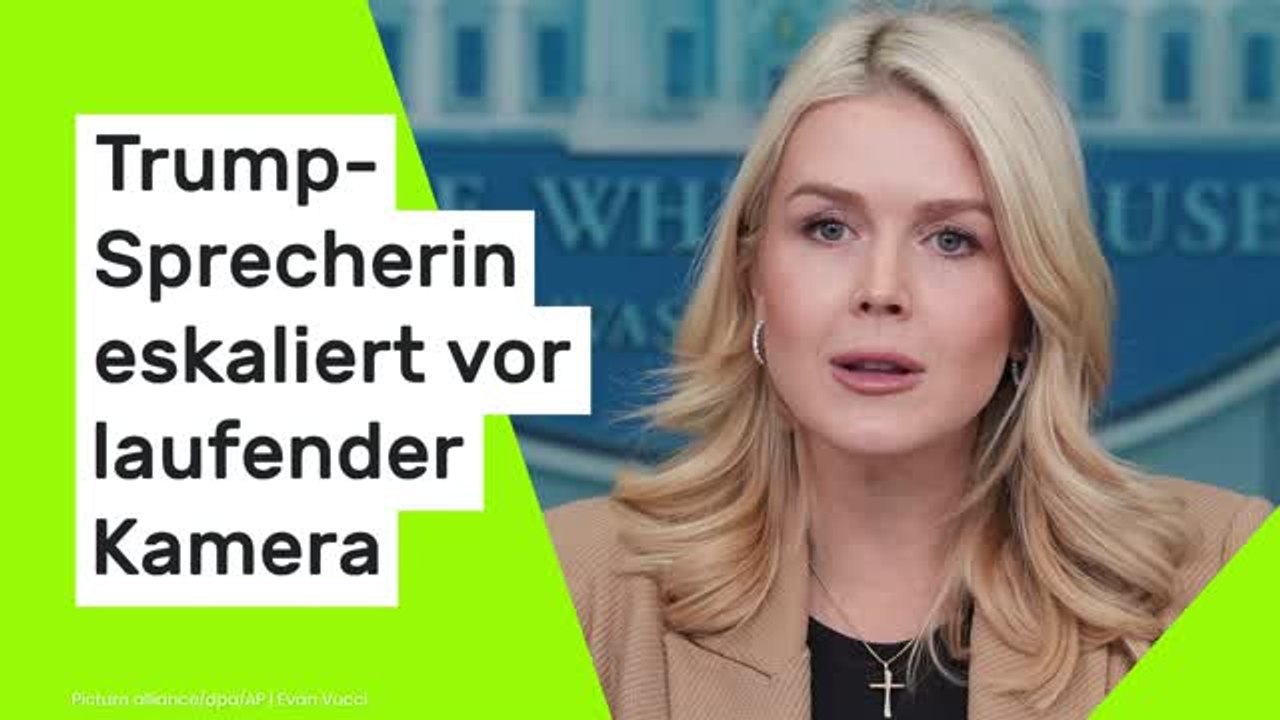 Karoline Leavitt: "Linker Schmierfink" - Trump-Sprecherin eskaliert vor laufender Kamera