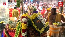 மாட்டு பொங்கலை முன்னிட்டு ஸ்ரீஜலகண்டீஸ்வரருக்கு சிறப்பு அபிஷேகம்