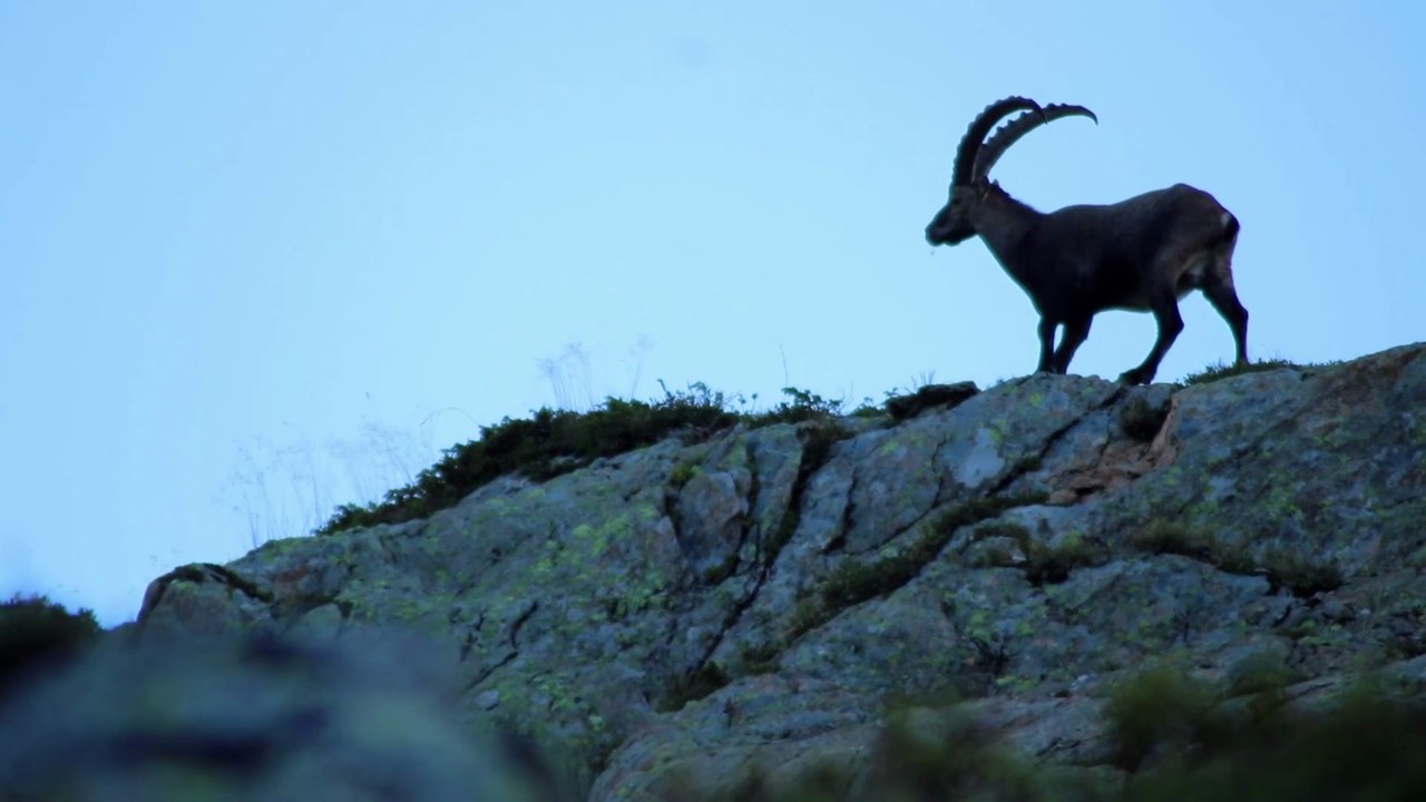 L'OMBRE DES ALPES !!