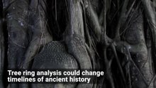 How Tree Rings Can Reveal Timelines From the Ancient World