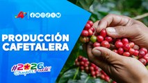 Innovación cafetalera: nuevas tecnologías para la producción en Matagalpa ☕