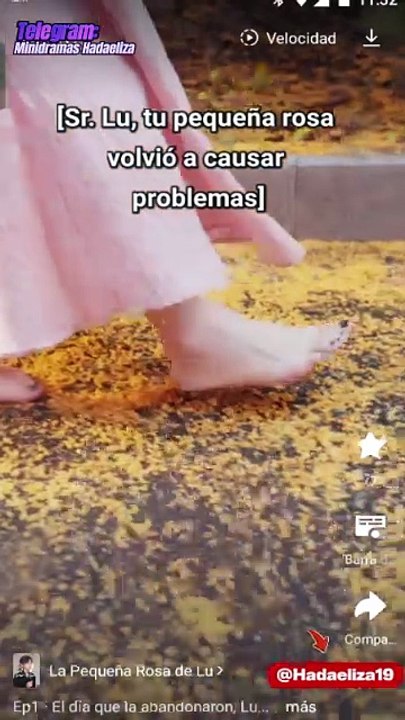 La pequeña rosa de Lu
