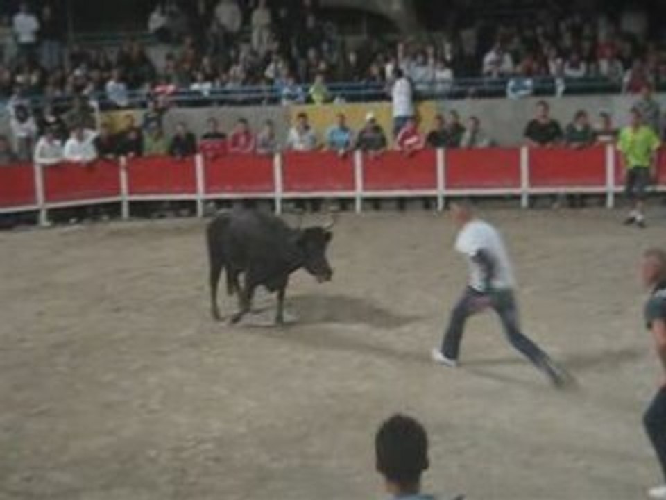 saut de toro Caissargues feria