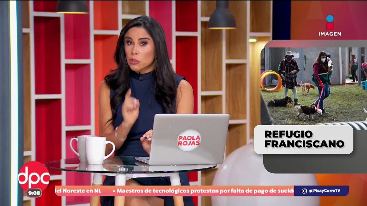 Personal del Refugio Franciscano revisa estado de perritos en el Ajusco  | DPC con Paola Rojas