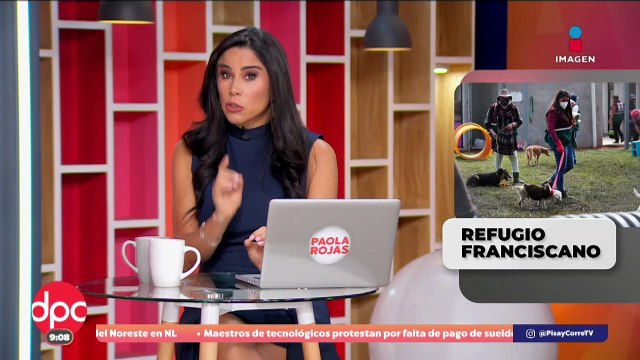 Personal del Refugio Franciscano revisa estado de perritos en el Ajusco | DPC con Paola Rojas