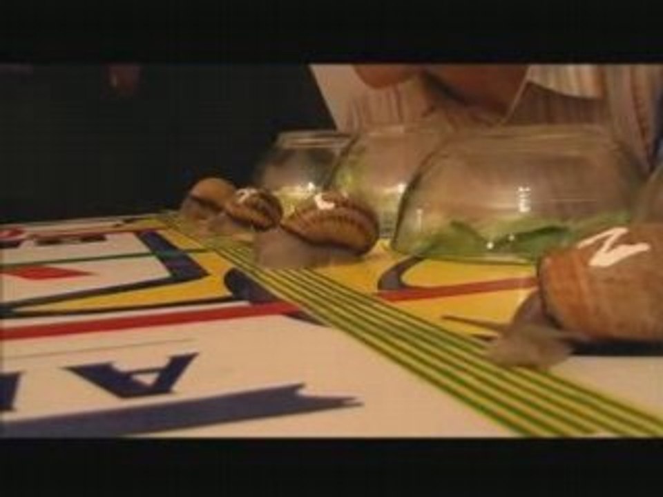 thème de l'escargot ,extrait du film "un grand champion"