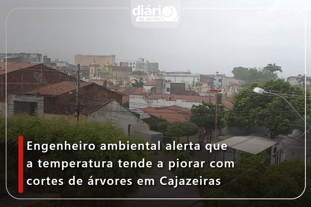 Engenheiro ambiental alerta que a temperatura tende a piorar com cortes de árvores em Cajazeiras
