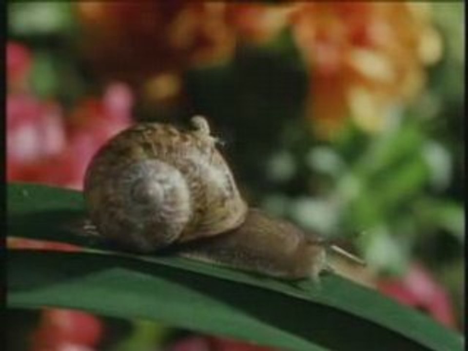 Marty Stouffer
