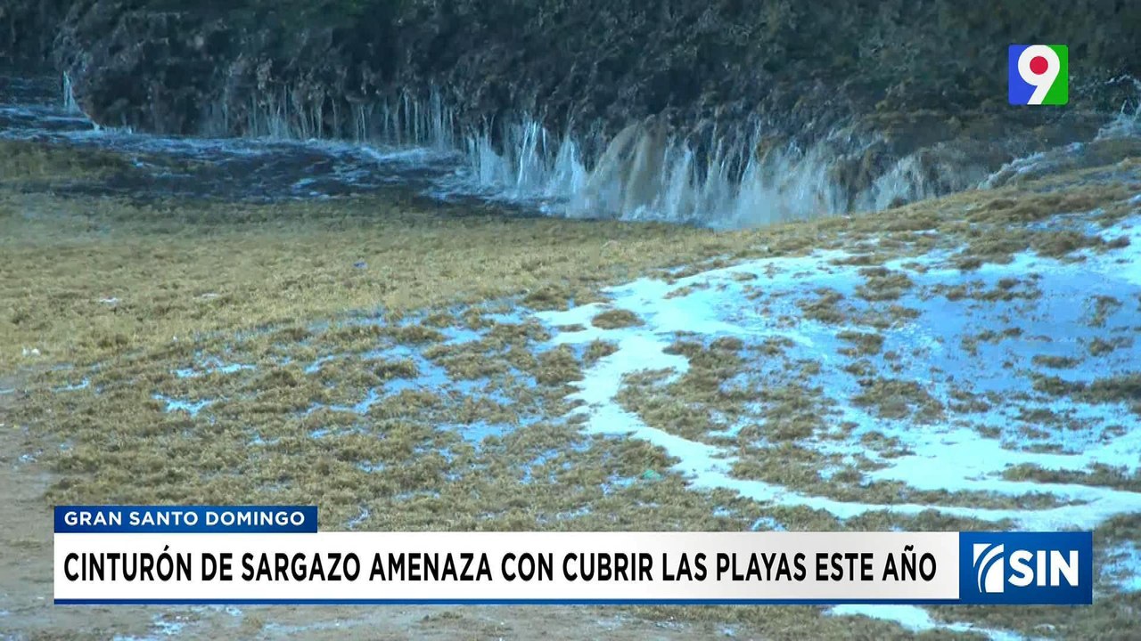 El sargazo amenaza con cubrir las playas | Emisión Estelar SIN