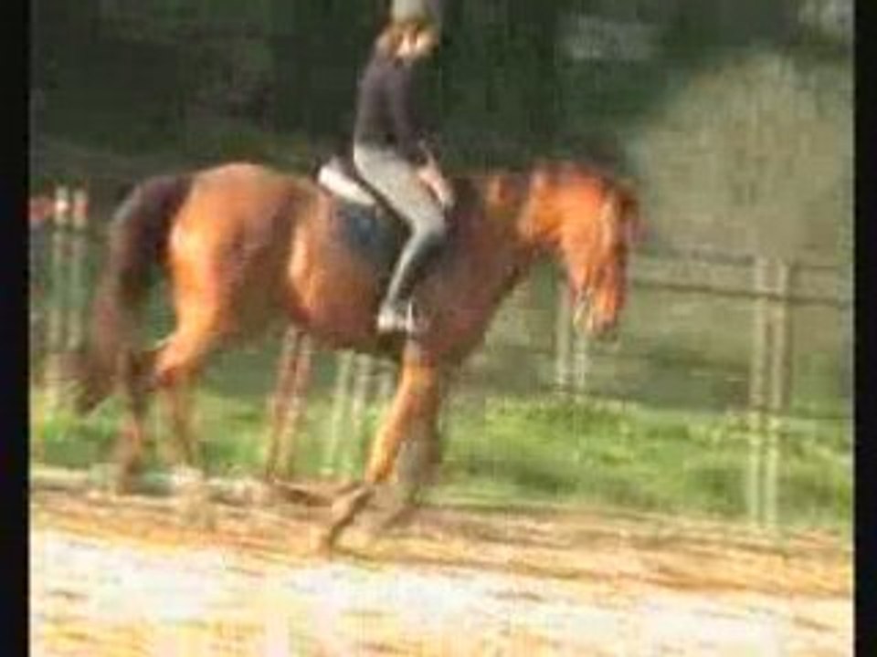 Jiosco sur le plat apres un hiver de boulot