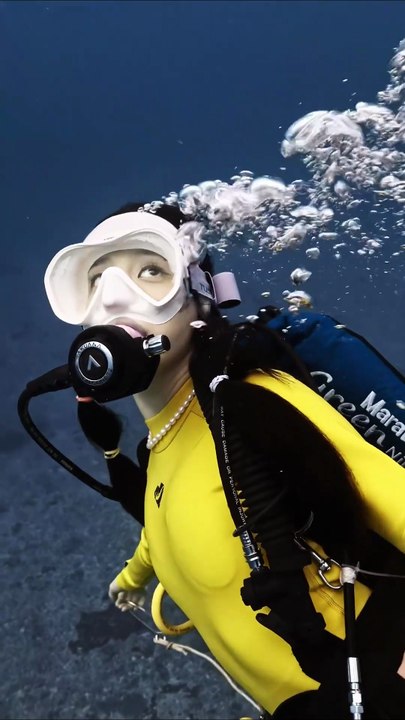 Amazing Underwater Fish School | Ocean Nature