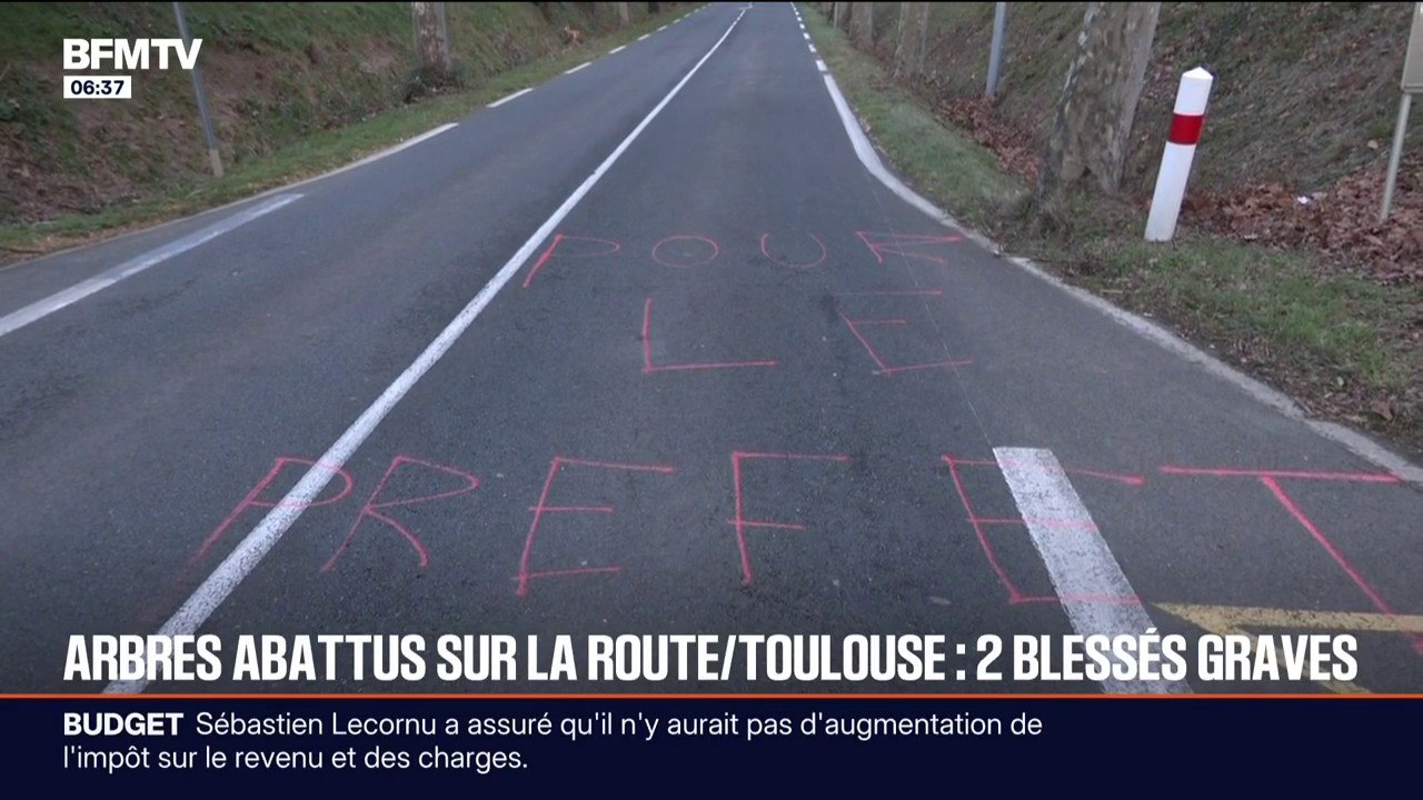 Haute-Garonne: deux blessés graves après avoir percuté des arbres volontairement abattus, une enquête ouverte pour  "violences volontaires aggravées"
