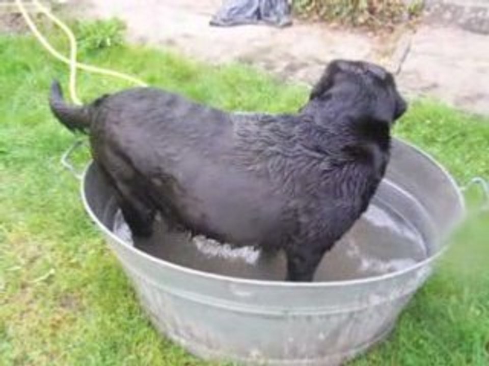 Tanga dans son eau =)