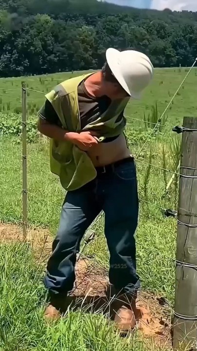 Les clôtures électriques ne fonctionnent pas avec un courant continu comme une ligne haute tension, mais envoient des pulses courts et puissants toutes les secondes pour un choc bref et sans danger.