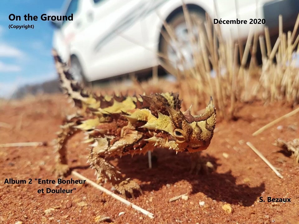 ON THE GROUND