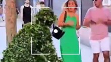 Fake tree prank 💐💐 funny videos
