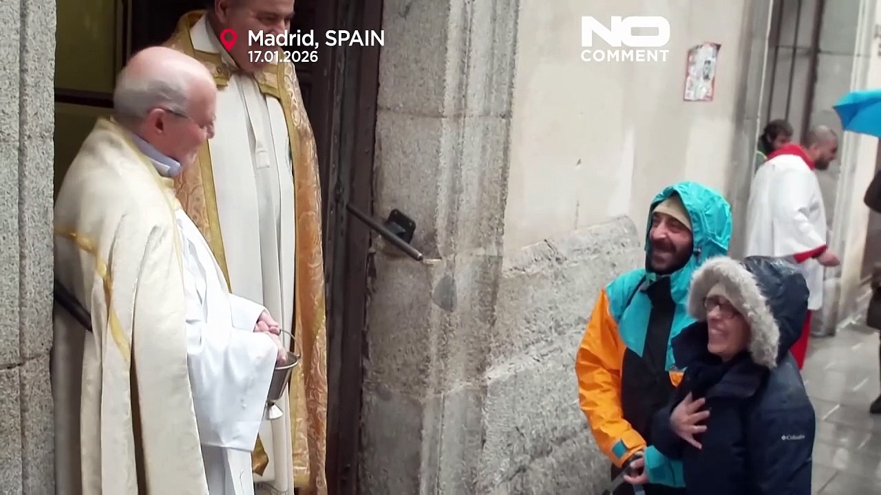 Kutyákat és macskákat szenteltvízzel áldottak meg Madridban