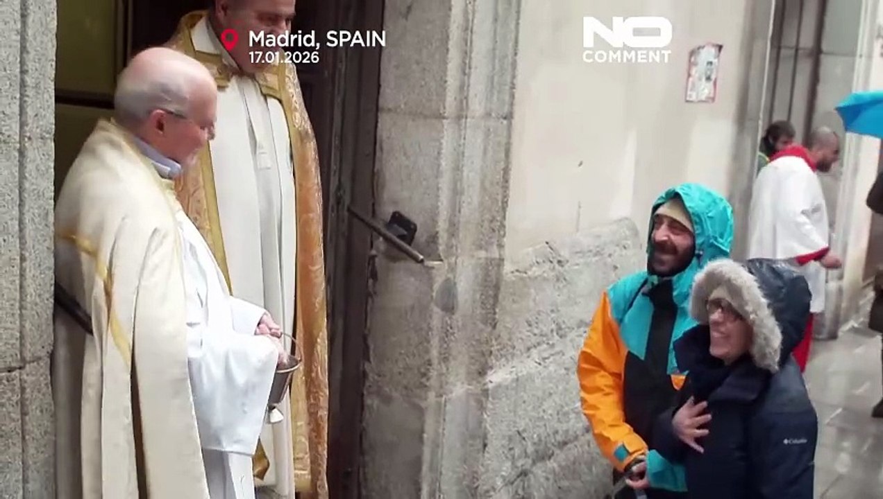 Madrid: cães e gatos abençoados com água benta