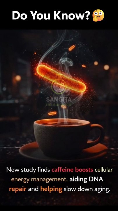 The Caffeine Cure for Aging🤎ྀིྀི☕︎ᝰ.ᐟ#caffeinebreakthrough #dnarepair #antiaging