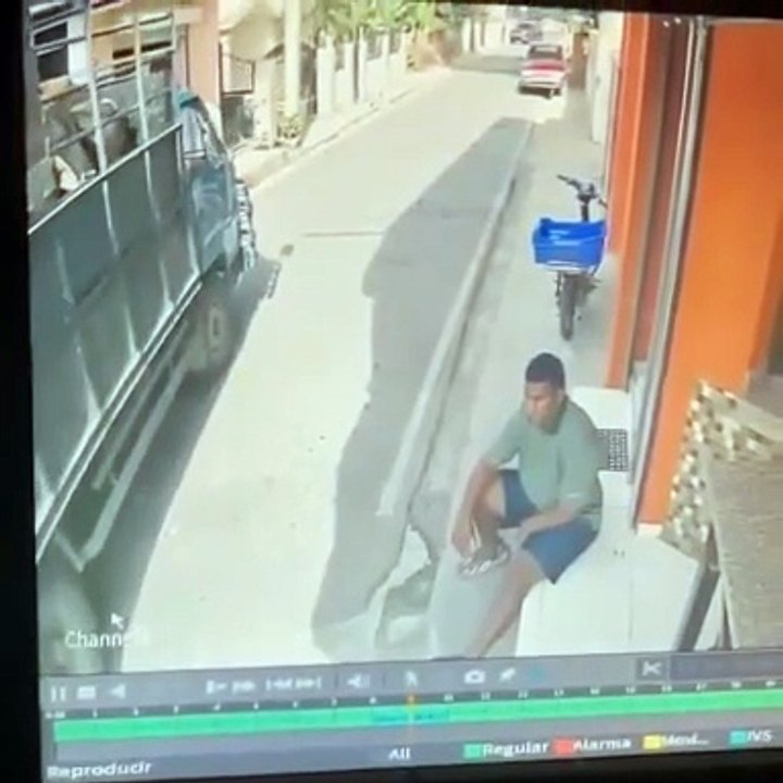 Homme assis vs Camion transportant des vaches