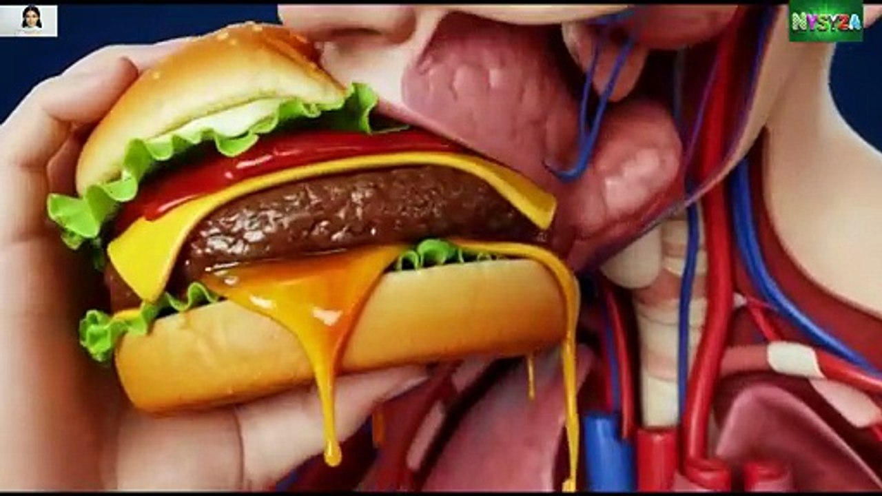 Burger Khane Ke 1 Hour Baad Aapke Jism Ka Kya Haal Hota Hai? | Shocking 3D Medical Truth