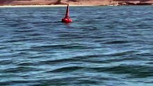 Nature , Ocean and Fishing