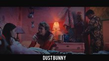 Dust Bunny