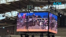 High-octane bull riding in Tamworth