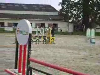 cso caro et persane