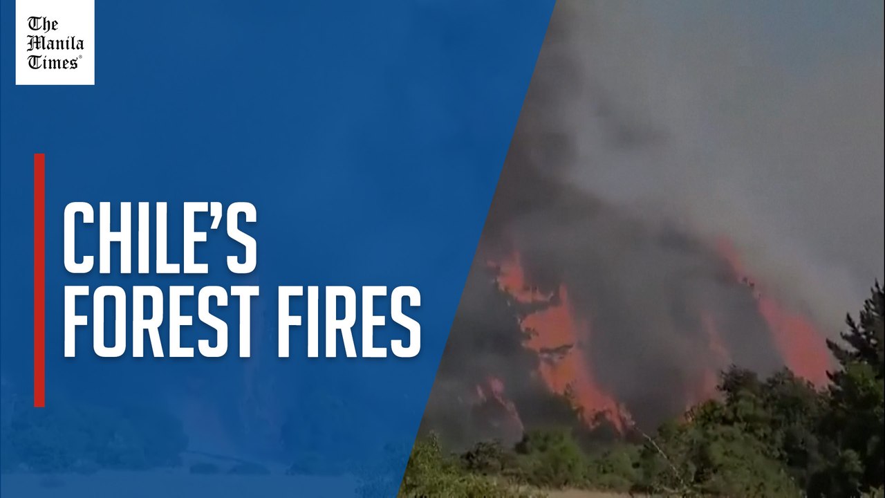 Multiple forest fires spark emergency evacuations across Chile's Biobio and Nuble regions