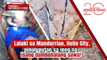 Lalaki sa Iloilo City, pinuluputan sa leeg ng isang dambuhalang sawa! | Kapuso Mo, Jessica Soho
