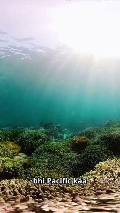 Pacific Ocean ki gehrai|Pacific Ocean Kitna bada he|Pacific Ocean