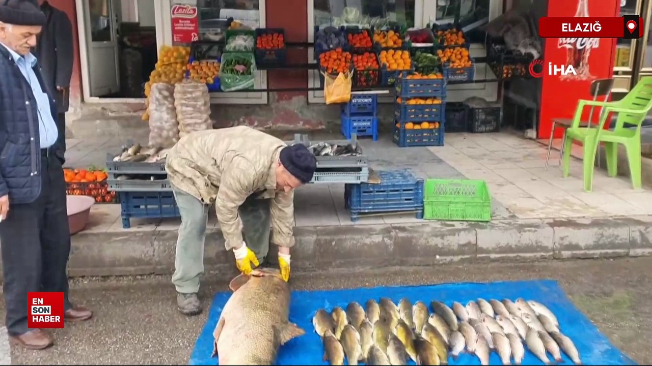 Elazığ’da Murat Nehri’nde 52 kiloluk turna yakalandı