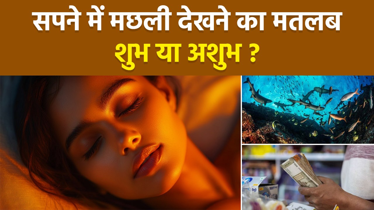 Fish Dream Meaning: सपने में मछली देखना सुभ है...