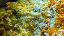 G Shabbir restaurant