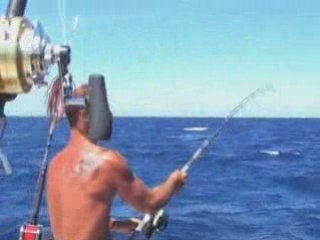 Denti par mer agitée by www.bastia-offshore-fishing.com