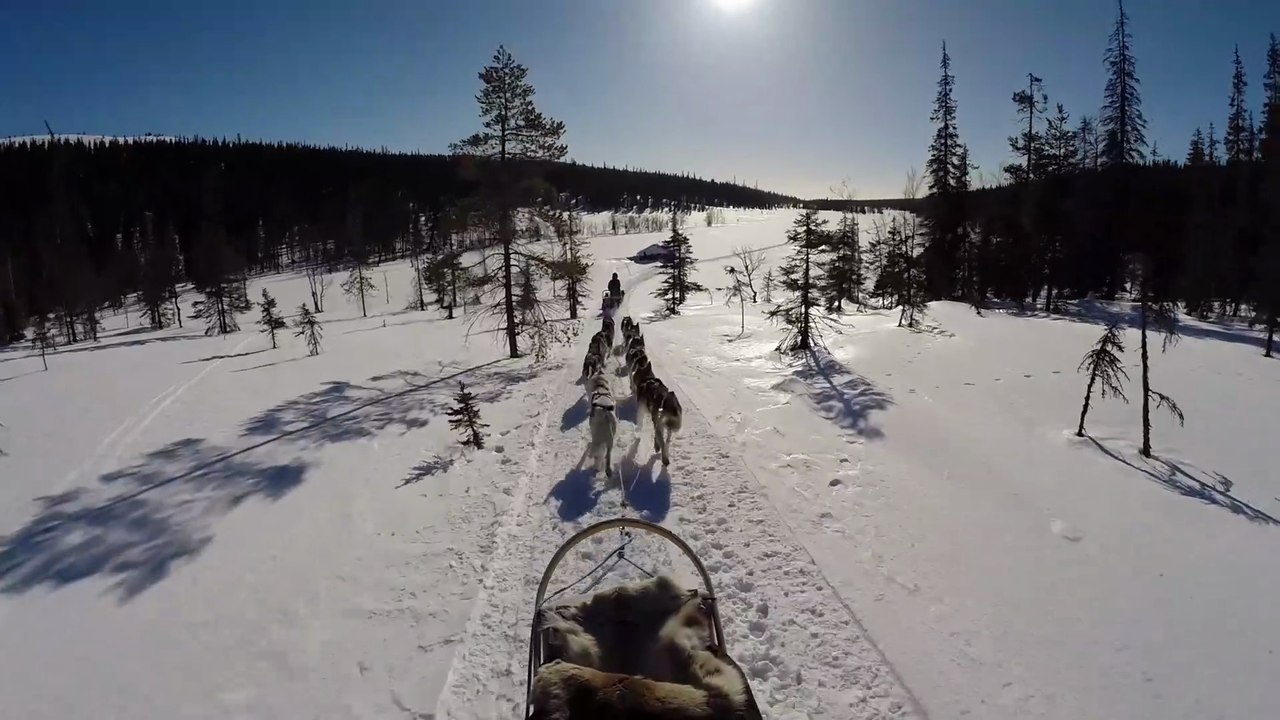 Wonderful Husky Safari & Winter Magic | Riisitunturi National Park, Finnish Lapland