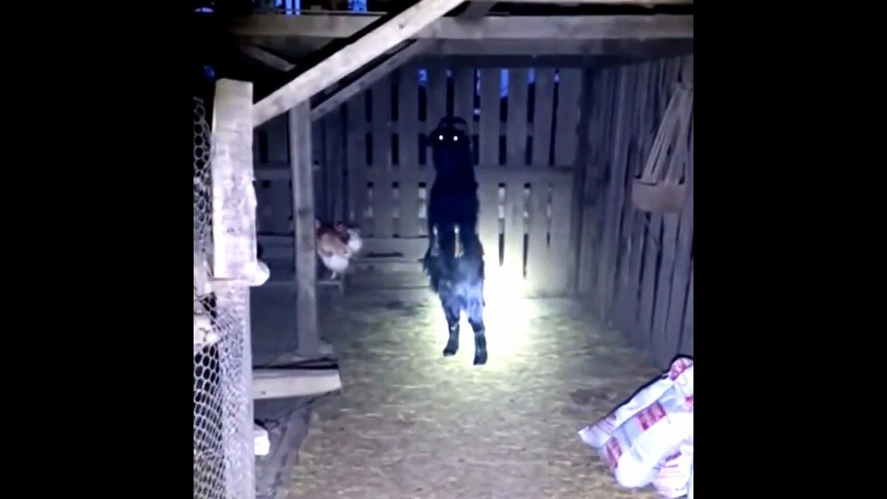 TOP 5 Videos De Fantasmas y Actividad Paranormal Que Nunca Has Visto